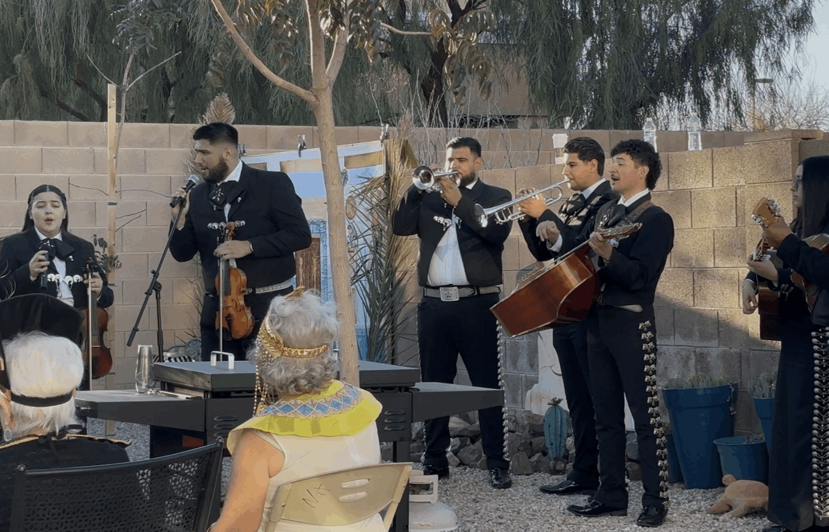 Mariachi presentándose